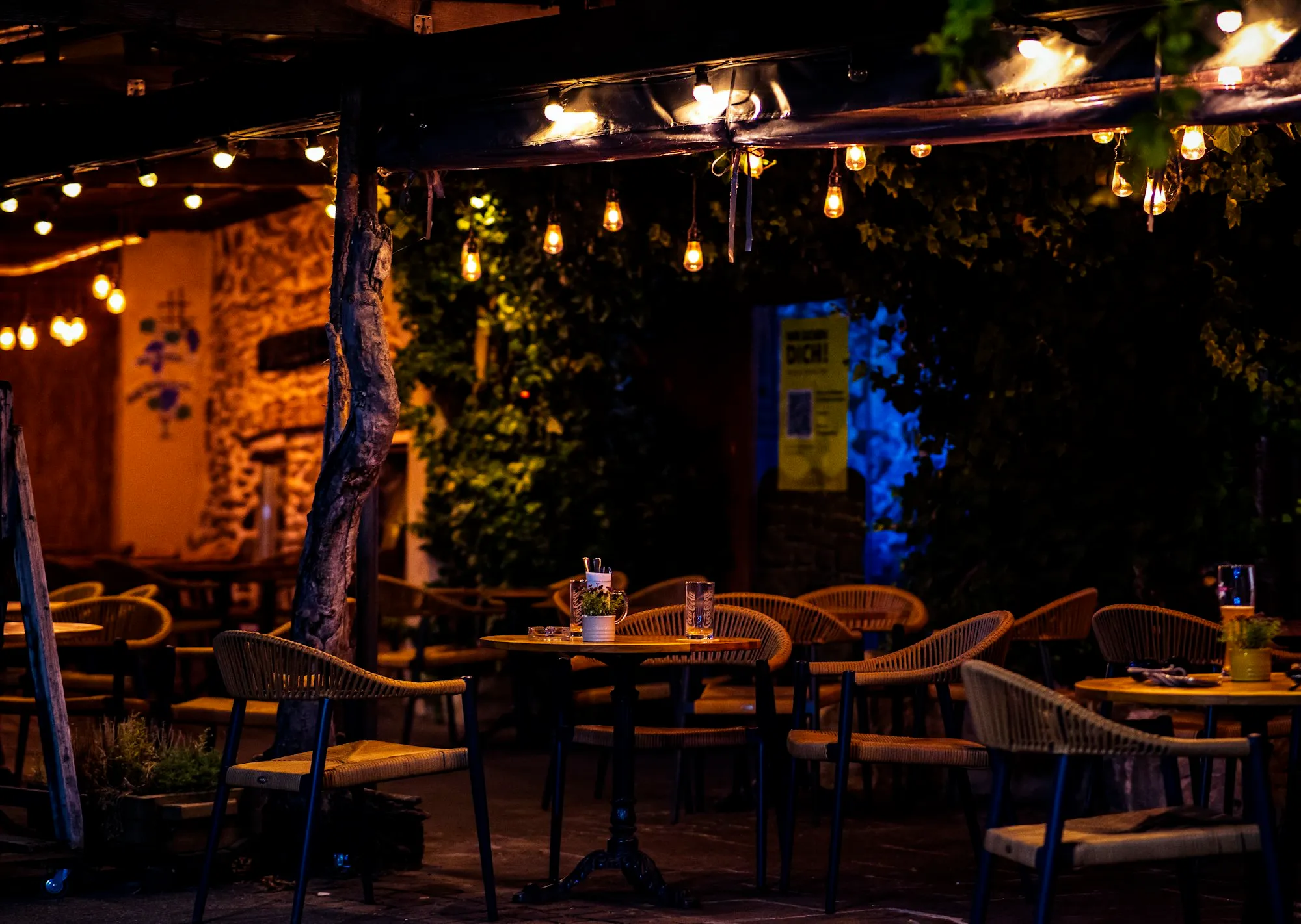 Rooftop seating with plants and fairy lights